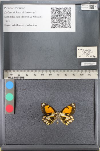 Media type: image;   Entomology 140137